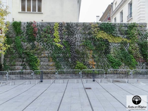 sytème de gabion pour jardin vertical