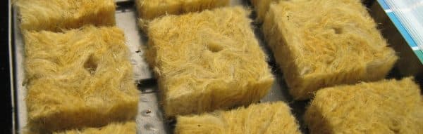 laine de roche pour mur vegetal