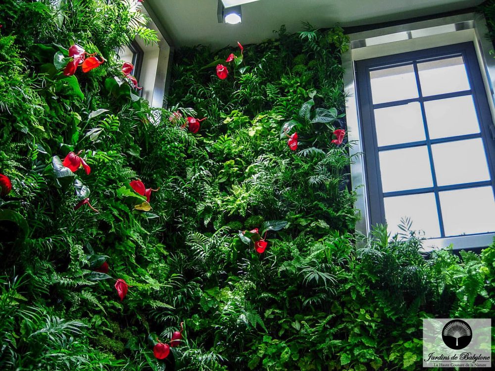 Anthurium dans une façade végétale