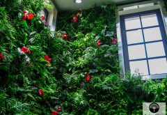 Anthurium dans une façade végétale