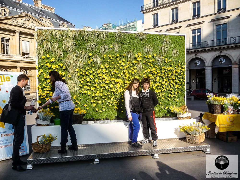 mur végétal fleuri fondation curie
