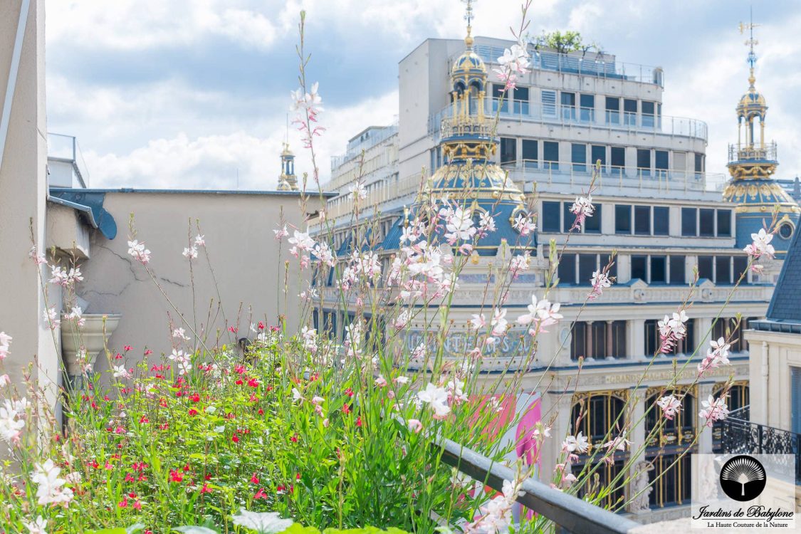 terrasse avec vue de printemps