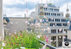 terrasse avec vue de printemps