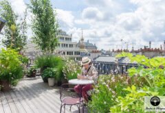 terrasse sur le toit avec vue de printemps