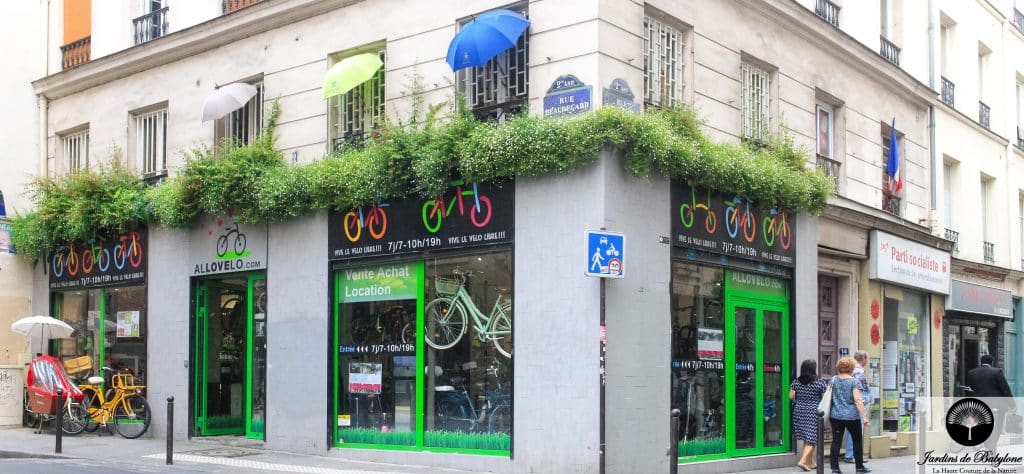 liane végétal dans la ville de Paris