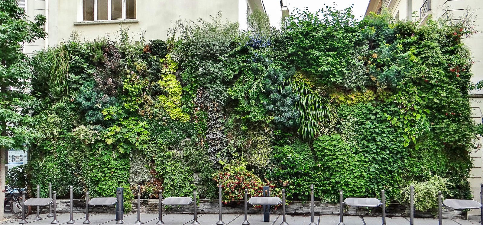 Les Murs Végétalisés des Champs Elysées - Jardins de Babylone