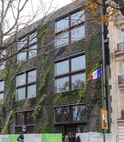 Mur végétal quai branly