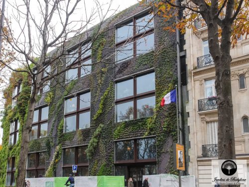 Mur végétal quai branly